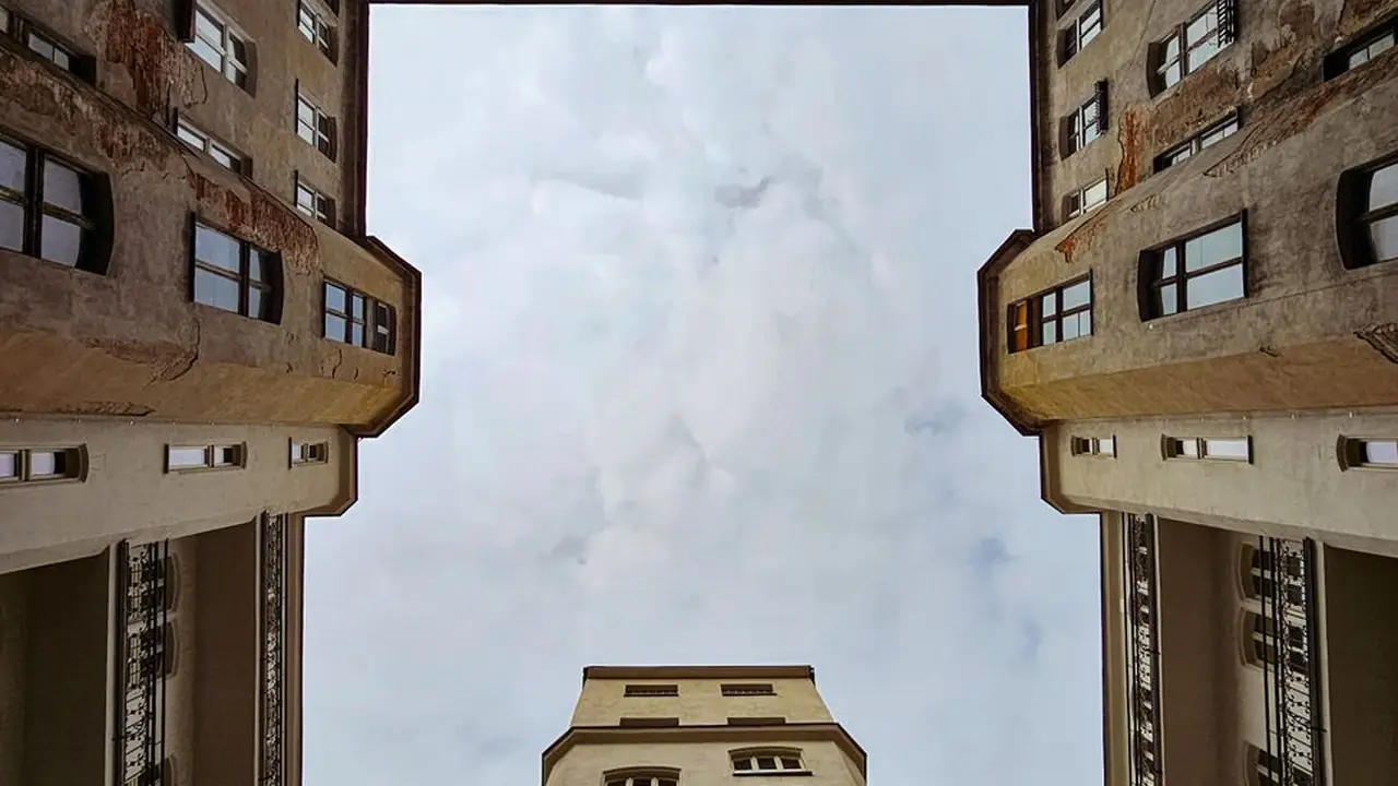 阮政亦头像
